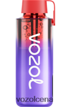VOZOL Vape Cena kazenes ledus | VOZOL NEON 10 000 T248N6242