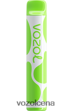 VOZOL Vape Cena kivi marakujas gvajava | VOZOL JOYGO 600 T248N6382
