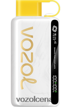 VOZOL Vape Cena kivi marakujas gvajava | VOZOL STAR 9000/12000 T248N625