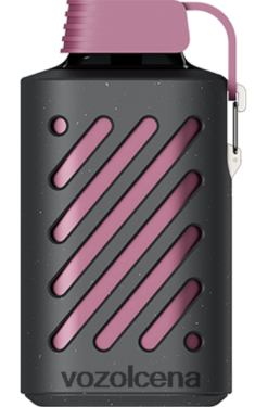 VOZOL Vape marakujas aveņu mandarīns | VOZOL GEAR 10 000 T248N6300
