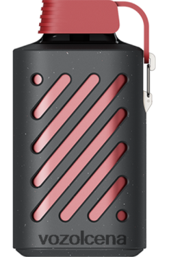 VOZOL Vape sarkanais mohito | VOZOL GEAR 10 000 T248N6307