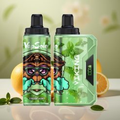VapSolo VIKING 12000 Puffs Disposable Vape 22ml Svaiga Mētra